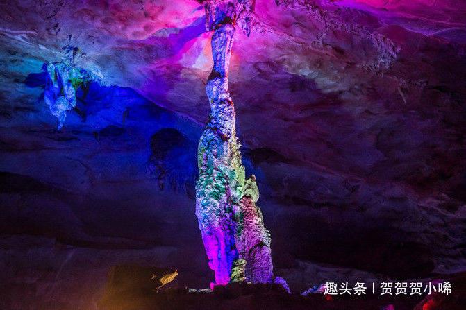 跨国收养大揭秘:中国女童为何成为美国收养的“宠儿”?背后原因令人深思