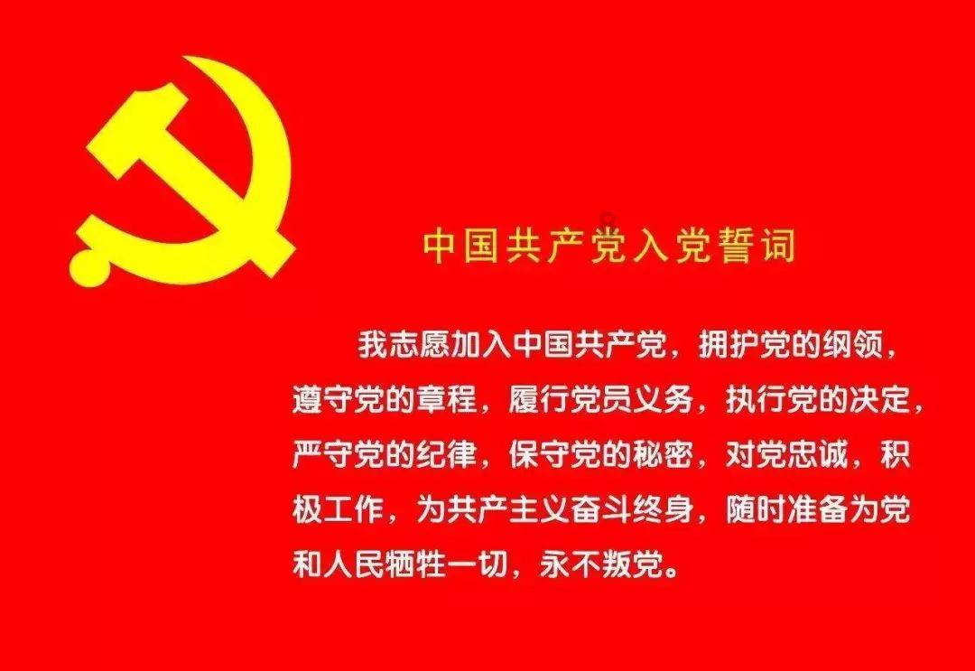 两会时间基层代表说宁夏人大代表丁秀琴 政企合力共同推动宁夏奶业高质量发展