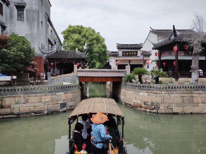 救援淘气的小狗