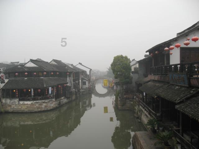 中华秋沙鸭连续17年在江西龙虎山越冬